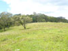 The two large lots are beautifully sited near San Lui and Cico Esquinas.